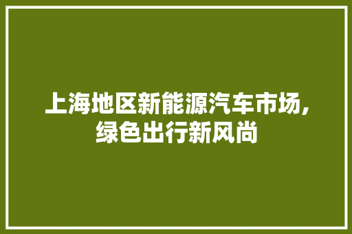 上海地区新能源汽车市场,绿色出行新风尚