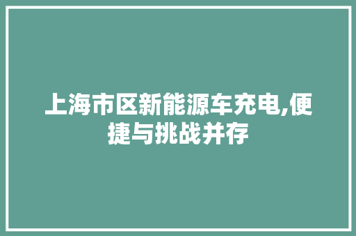 上海市区新能源车充电,便捷与挑战并存