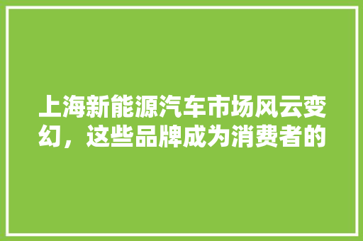 上海新能源汽车市场风云变幻，这些品牌成为消费者的宠儿