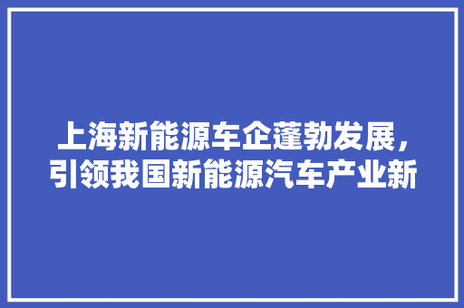 上海新能源车企蓬勃发展，引领我国新能源汽车产业新篇章