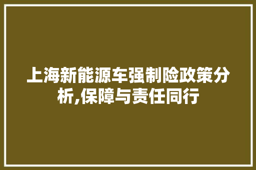上海新能源车强制险政策分析,保障与责任同行
