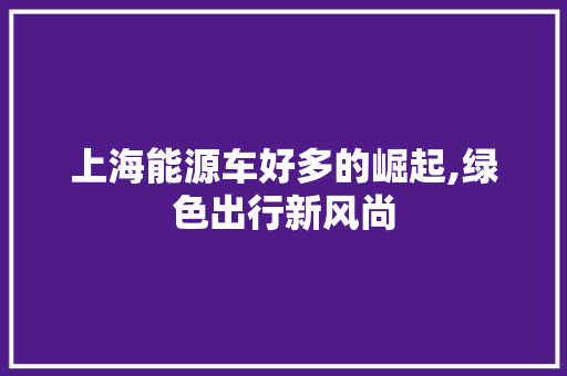 上海能源车好多的崛起,绿色出行新风尚