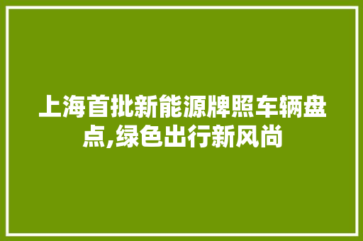 上海首批新能源牌照车辆盘点,绿色出行新风尚