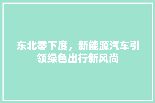东北零下度，新能源汽车引领绿色出行新风尚