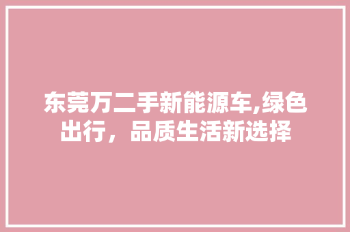 东莞万二手新能源车,绿色出行，品质生活新选择