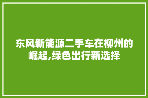 东风新能源二手车在柳州的崛起,绿色出行新选择