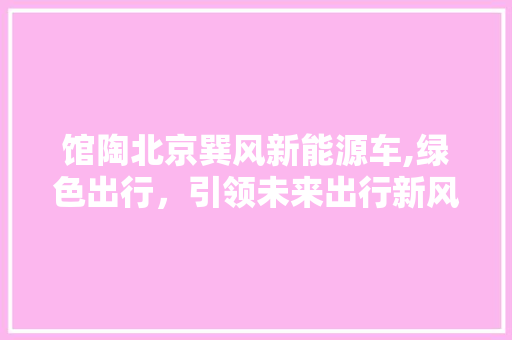 馆陶北京巽风新能源车,绿色出行，引领未来出行新风尚