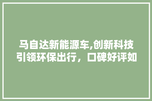 马自达新能源车,创新科技引领环保出行，口碑好评如潮