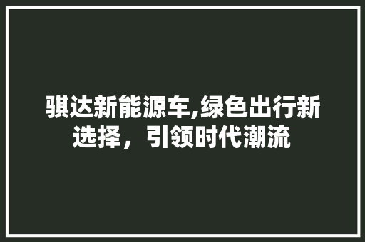 骐达新能源车,绿色出行新选择，引领时代潮流
