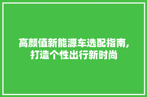 高颜值新能源车选配指南,打造个性出行新时尚