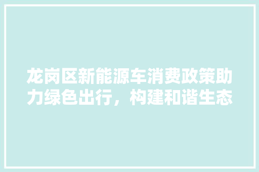 龙岗区新能源车消费政策助力绿色出行，构建和谐生态城市