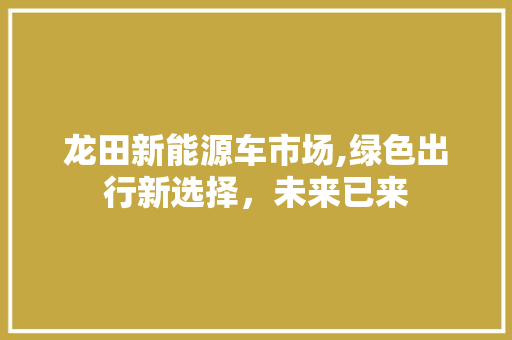 龙田新能源车市场,绿色出行新选择，未来已来 车联网技术