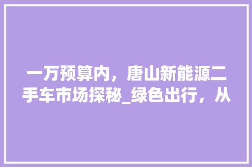 一万预算内，唐山新能源二手车市场探秘_绿色出行，从选车开始
