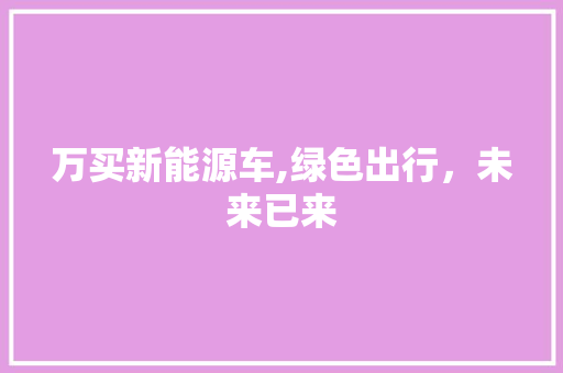 万买新能源车,绿色出行，未来已来