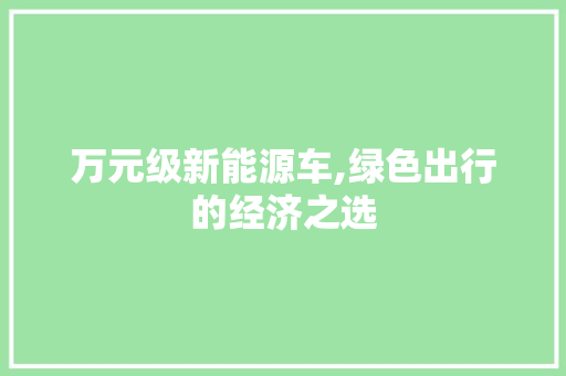 万元级新能源车,绿色出行的经济之选