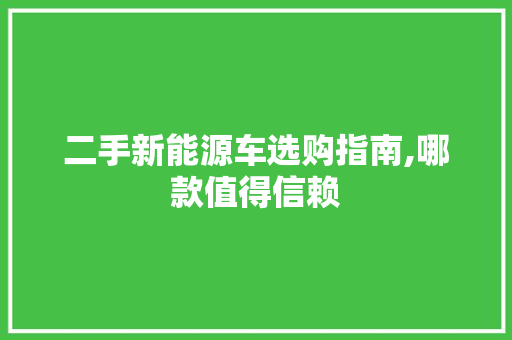 二手新能源车选购指南,哪款值得信赖