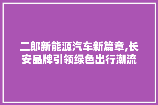 二郎新能源汽车新篇章,长安品牌引领绿色出行潮流