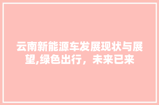云南新能源车发展现状与展望,绿色出行，未来已来