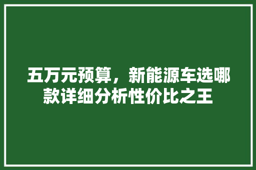五万元预算，新能源车选哪款详细分析性价比之王