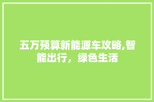 五万预算新能源车攻略,智能出行，绿色生活