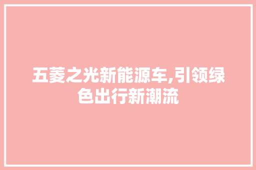 五菱之光新能源车,引领绿色出行新潮流 新车资讯