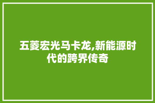 五菱宏光马卡龙,新能源时代的跨界传奇