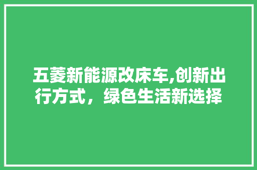 五菱新能源改床车,创新出行方式，绿色生活新选择