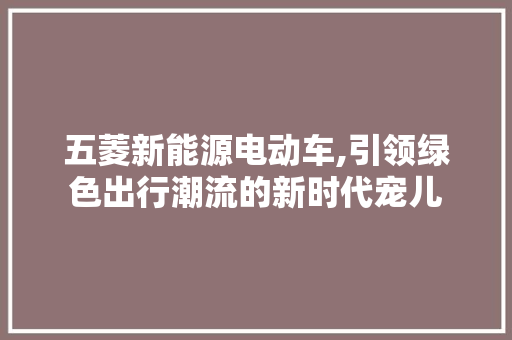 五菱新能源电动车,引领绿色出行潮流的新时代宠儿