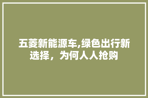 五菱新能源车,绿色出行新选择，为何人人抢购