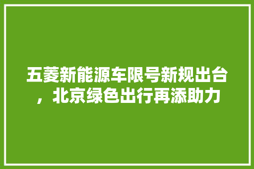五菱新能源车限号新规出台，北京绿色出行再添助力