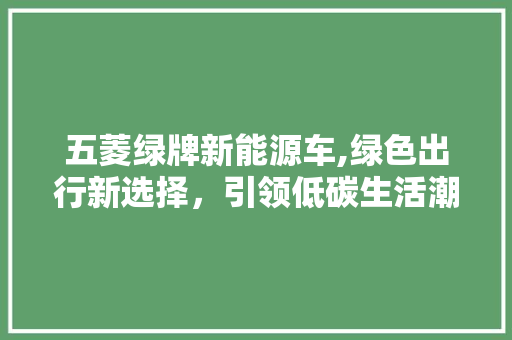 五菱绿牌新能源车,绿色出行新选择，引领低碳生活潮流