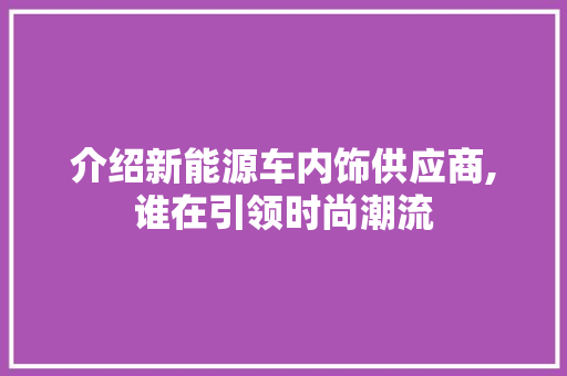 介绍新能源车内饰供应商,谁在引领时尚潮流