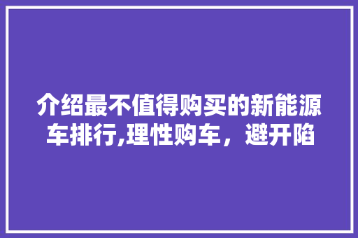 介绍最不值得购买的新能源车排行,理性购车，避开陷阱！ 车载导航