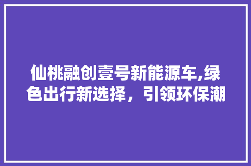 仙桃融创壹号新能源车,绿色出行新选择，引领环保潮流
