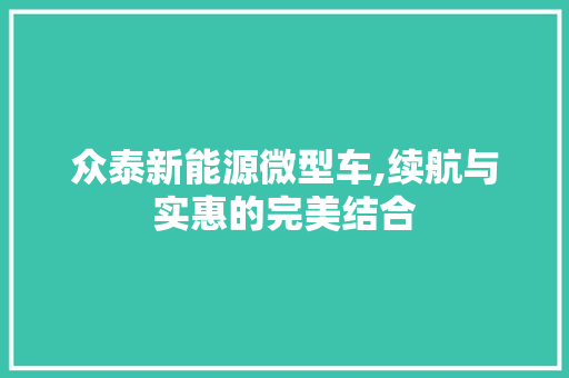众泰新能源微型车,续航与实惠的完美结合