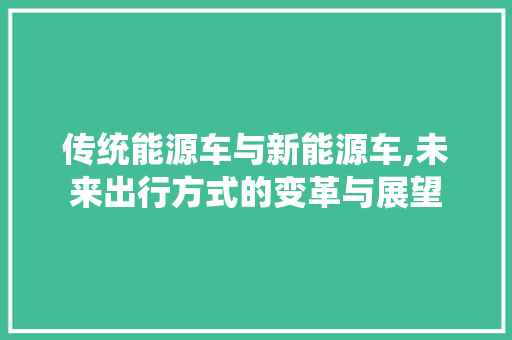 传统能源车与新能源车,未来出行方式的变革与展望