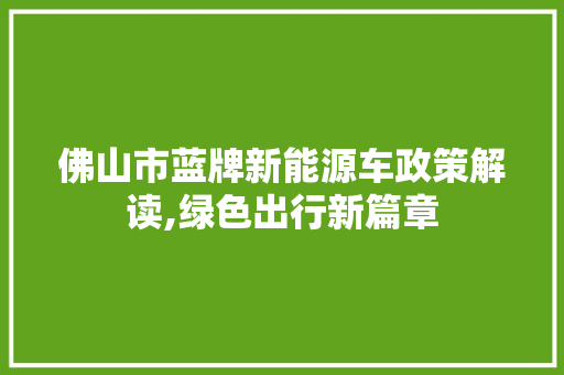 佛山市蓝牌新能源车政策解读,绿色出行新篇章