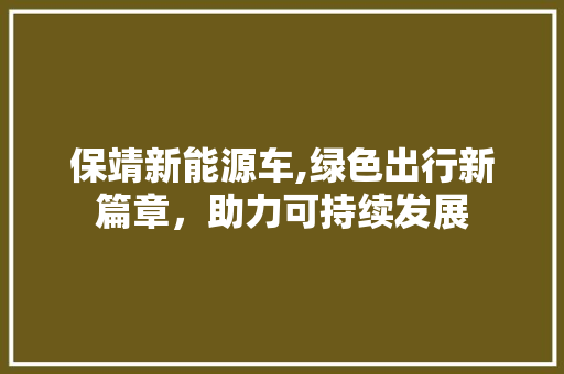 保靖新能源车,绿色出行新篇章，助力可持续发展