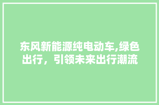 东风新能源纯电动车,绿色出行，引领未来出行潮流