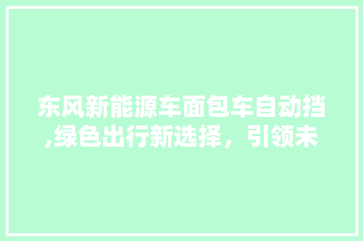 东风新能源车面包车自动挡,绿色出行新选择，引领未来物流潮流