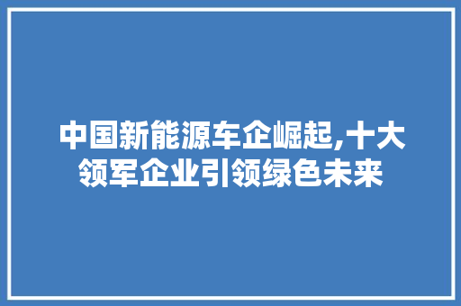 中国新能源车企崛起,十大领军企业引领绿色未来 车联网技术