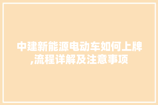中建新能源电动车如何上牌,流程详解及注意事项