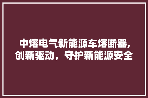 中熔电气新能源车熔断器,创新驱动，守护新能源安全