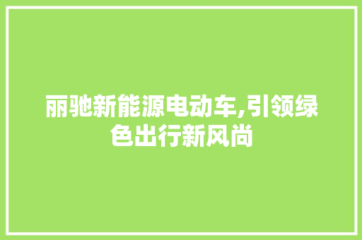 丽驰新能源电动车,引领绿色出行新风尚