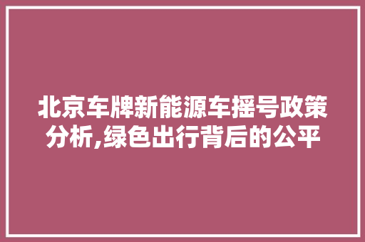 北京车牌新能源车摇号政策分析,绿色出行背后的公平与机遇
