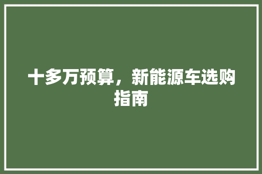 十多万预算，新能源车选购指南