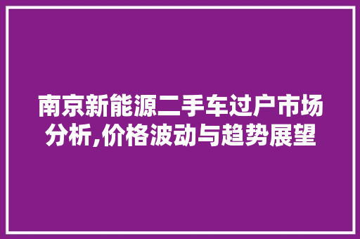 南京新能源二手车过户市场分析,价格波动与趋势展望