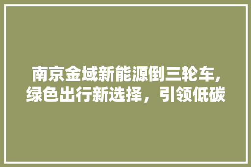 南京金域新能源倒三轮车,绿色出行新选择，引领低碳生活潮流