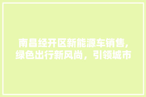 南昌经开区新能源车销售,绿色出行新风尚，引领城市环保潮流