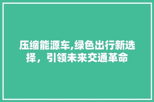 压缩能源车,绿色出行新选择，引领未来交通革命